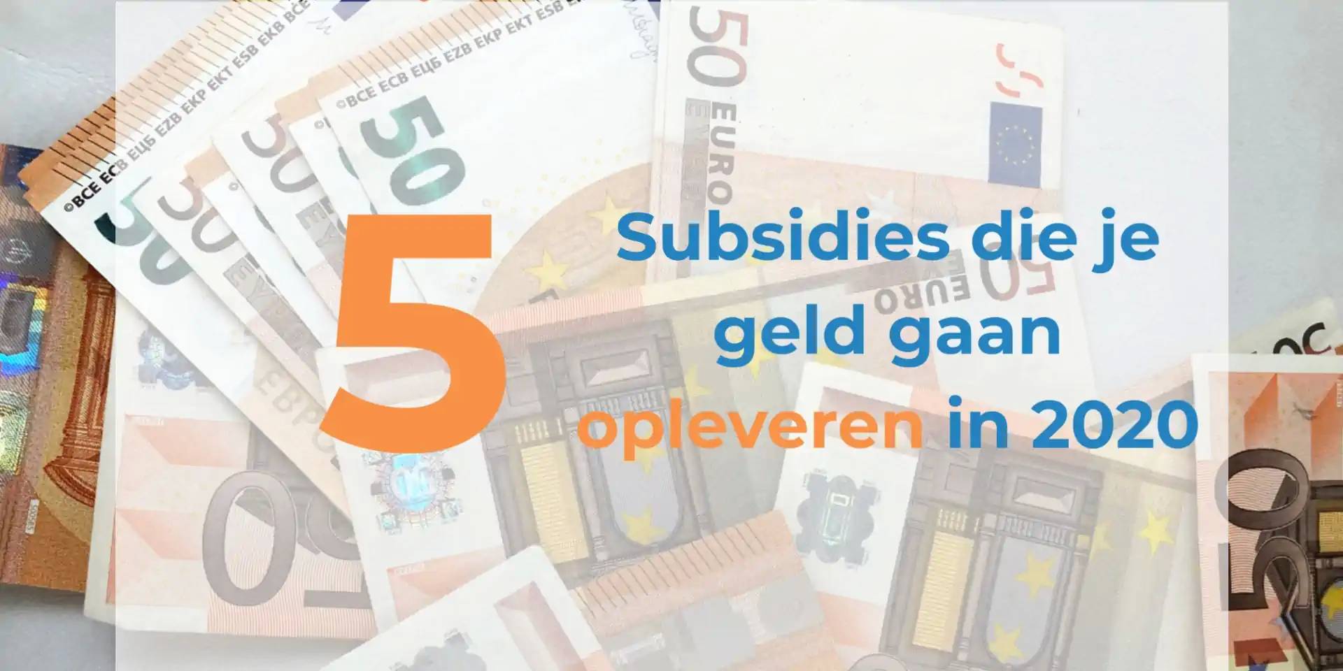 De top 5 duurzame subsidies van 2020
